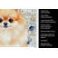 Serviette de cuisine Pomeranian-1209194473