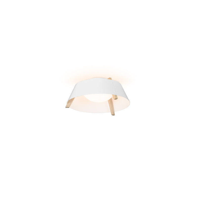Casia 18" LED Flush Mount, Gloss White, White Washed Oak, 2700 K