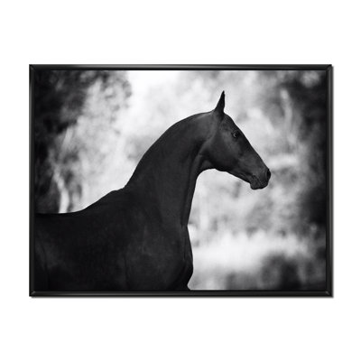 Portrait d'un étalon noir - Photographie sur toile