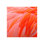 Bird Of A Different Feather " Bird Of A Different Feather VI " by Austin Beiv