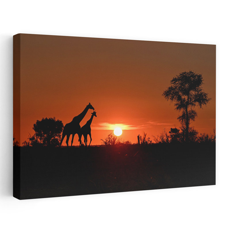 Print, 40.64cm H x 60.96cm W
