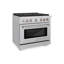 ZLINE 36" Paramount Dual Fuel Stainless Steel Range w/ 6 Brass Burners & Convection Oven (SDR-BR-36)
