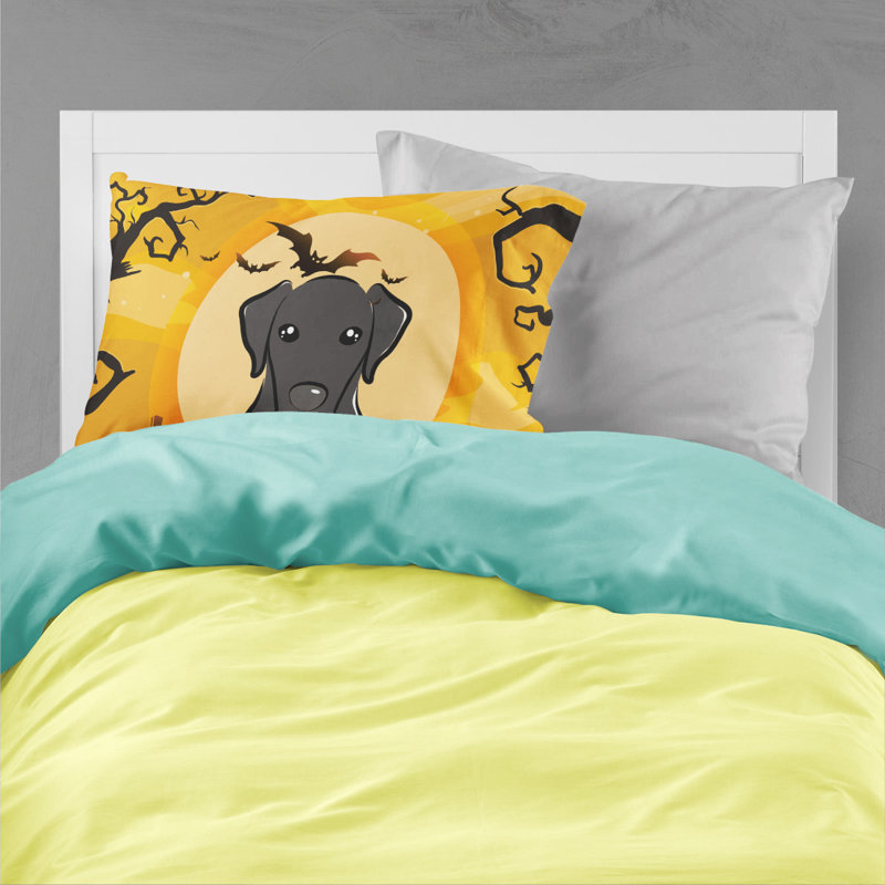 Microfiber, Black Labrador