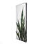 «Snake Plant», art botanique sur toile