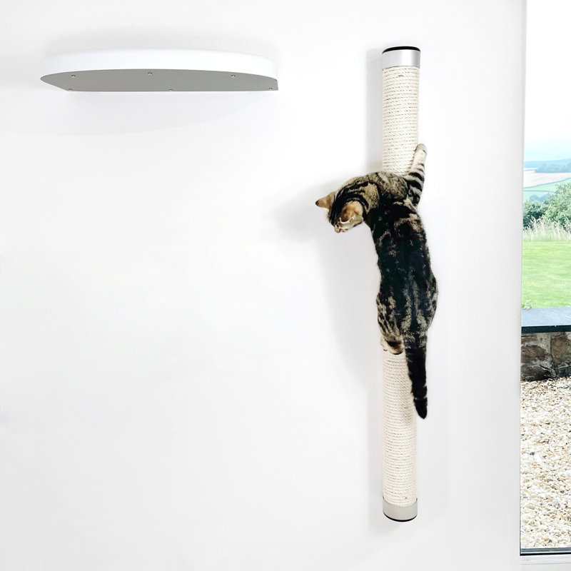 Deemer 115 cm H Cat Scratchers