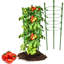 Paquet de 2 cages à tomates pour petites plantes - Support de plante réglable de 35 pouces avec 3 anneaux antirouille, idéal pour la tomate cerise, le poivre, l'herbe, la fleur et la vigne grimpante, les piquets de jardin verts-107644582