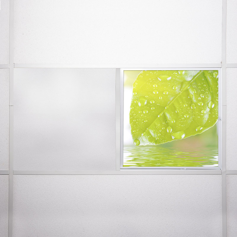 Tree Square Fixture Component Ceiling Light