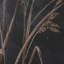 Golden Grasses I By Studio-123323397