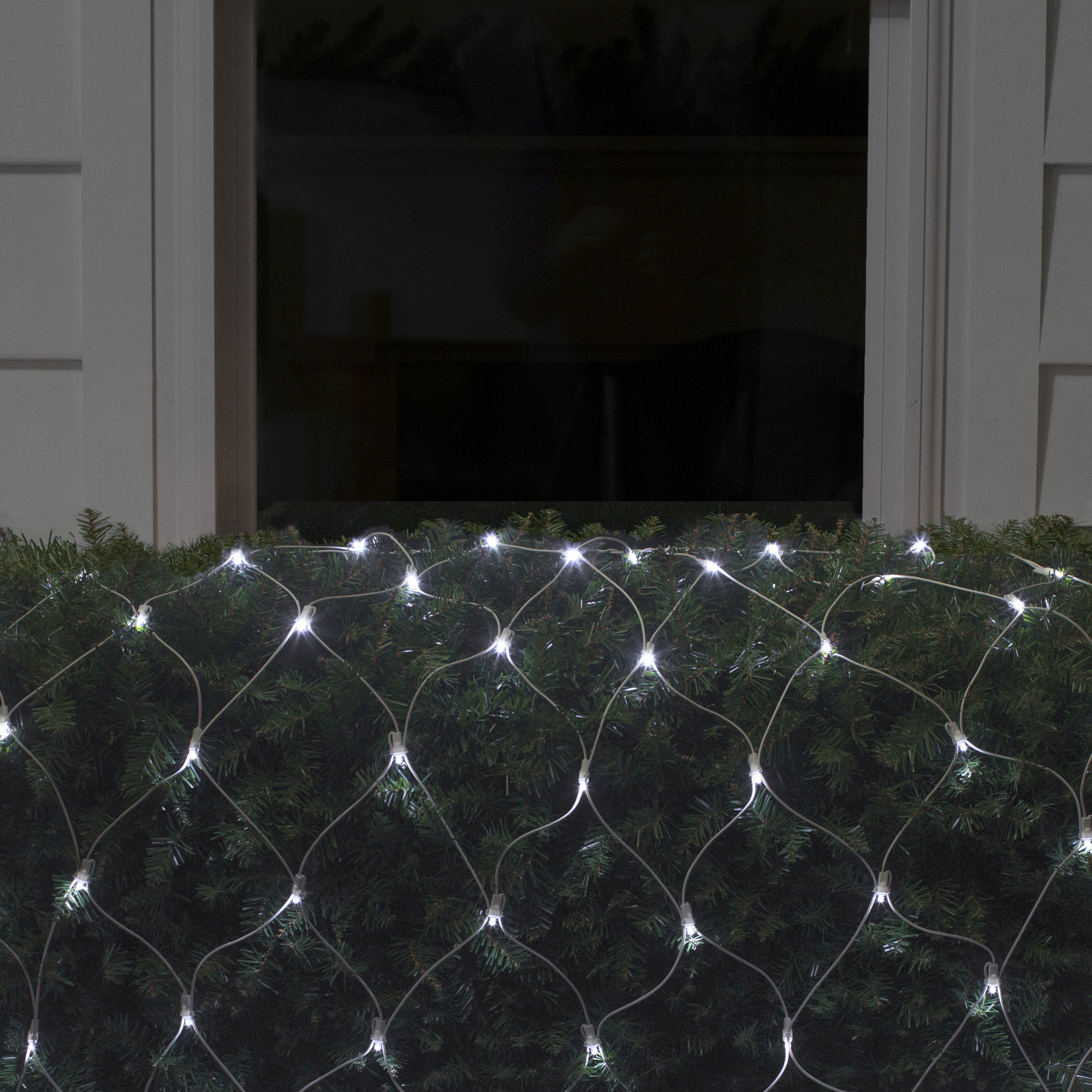LED Net Lights, 0.25" H x 48" W x 72" D, Pure White