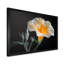 «White Yellow Whimsical Wonders Morning Glory - Morning Glory», reproduction d'art murale-258240034-258240044