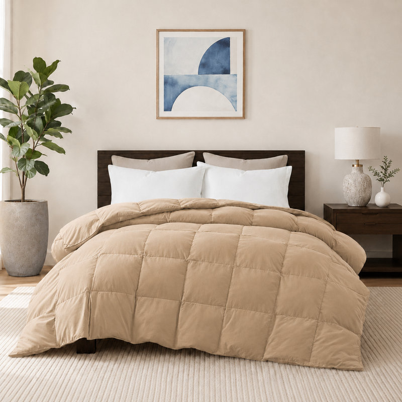  Insertion de couette en duvet synthétique toutes saisons Luxury, Édredon très grand en duvet, Racine de gingembre