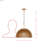 Urchin Dome Pendant-128603195