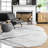 Amii Abstract Stripe Contemporary Ivory/Gray/Charcoal Area Rug-553083512
