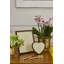 Piero Suede Frame, Heart