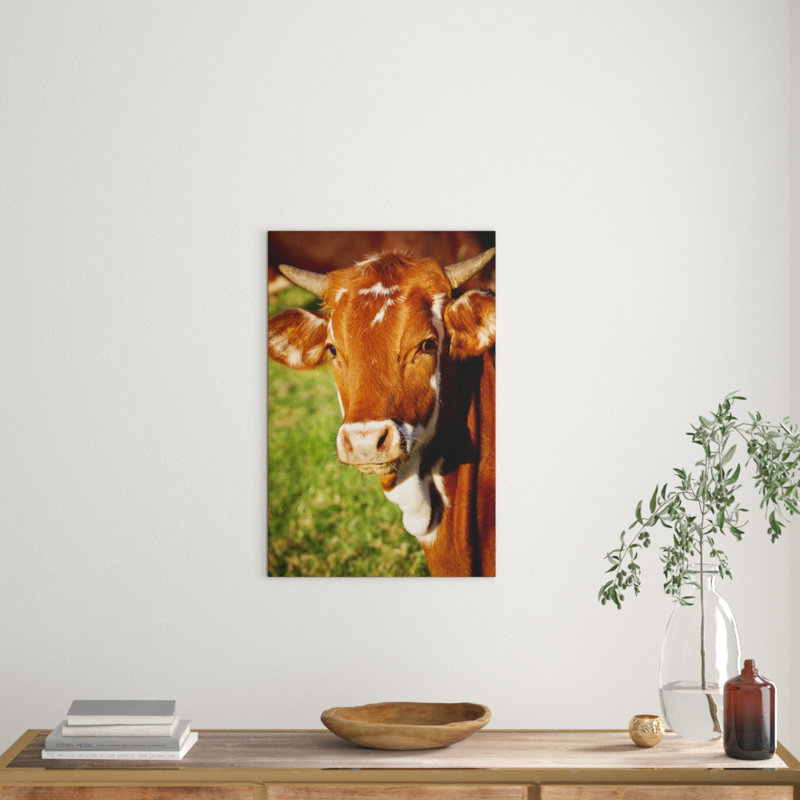 Wrapped Canvas Print, 76cm H x 50cm W