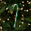 Northlight Seasonal