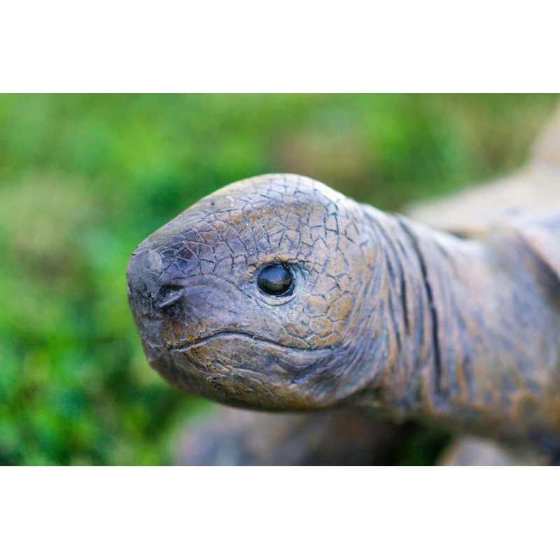 Grande statue de tortue
