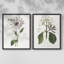 Tropical Botanical III - reproduction encadrée de qualité supérieure - prête à être accrochée - aucun clou requis - aucun clou requis-1644411414-1644411409