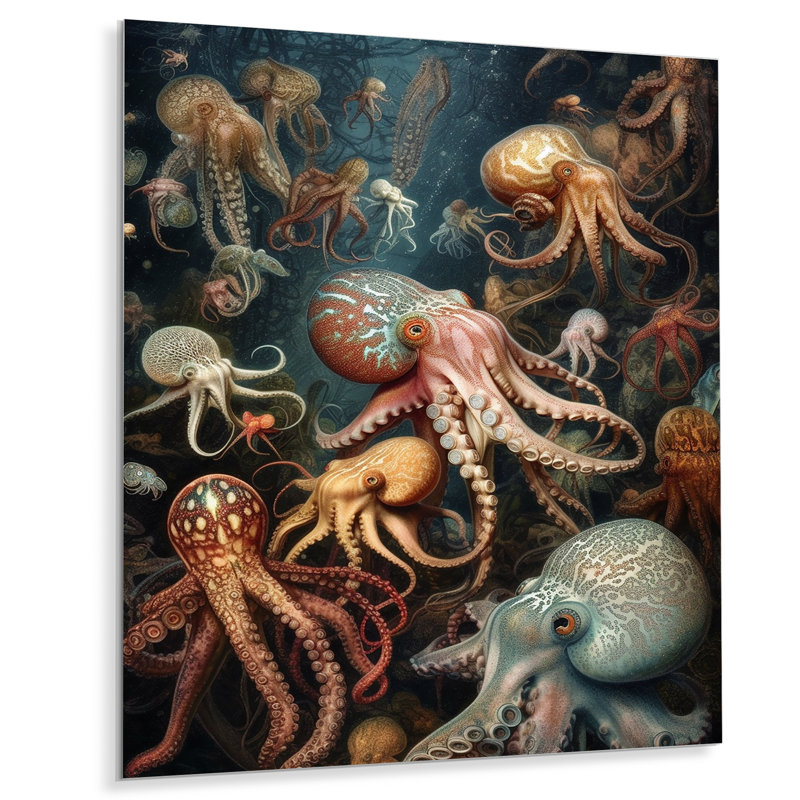 Beaucoup de calamars - impression sans cadre sur métal, H 32 po x l 24 po x P 1 po