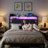 Upholstered Storage Bed Frame with RGB LED Lights & Charging Station, Smart Platform Bed No Box Spring Needed-987994091