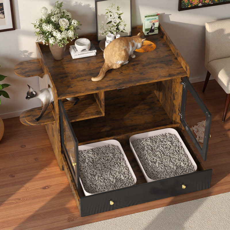 Litière pour chat avec tiroir, escalier latéral et lumières à DEL