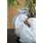 Bunny Cement Planter