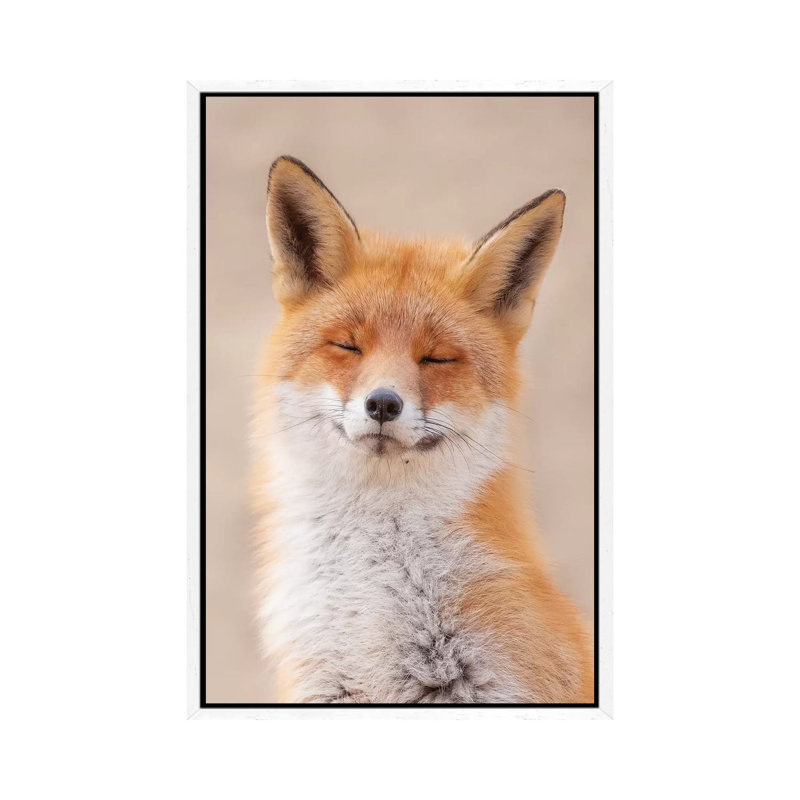 Zen Fox by Dick Van Duijn - Print on Canvas, 66.04cm H x 45.72cm W x 3.81cm D, White Framed