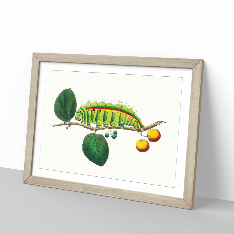 Caterpillar by George Shaw - Picture Frame Painting Print, Oak Framed, 36cm H x 48cm W x 2cm D
