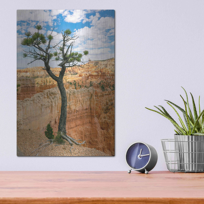 «Utah Bryce Canyon Tree» par AKG, H 16 po x l 12 po