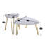 Ensemble de tables basses 2 pièces Manwe