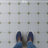 Vaudeville Octagon Humo W/Taco 7-7/8 In. X 7-7/8 In. Porcelain Floor And Wall Tile-112831863