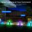 Matte Black Plug-in Integrated LED Pathway Light
