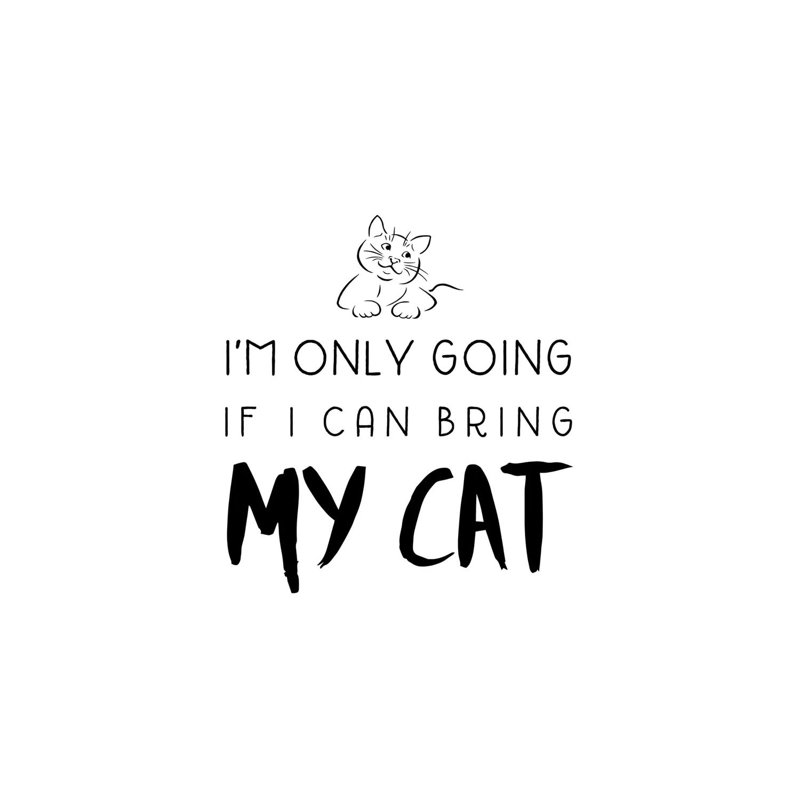 Bring My Cat by Amanda Murray - Wrapped Canvas Print, 45.72 cm H x 45.72 cm W x 3.175 cm D