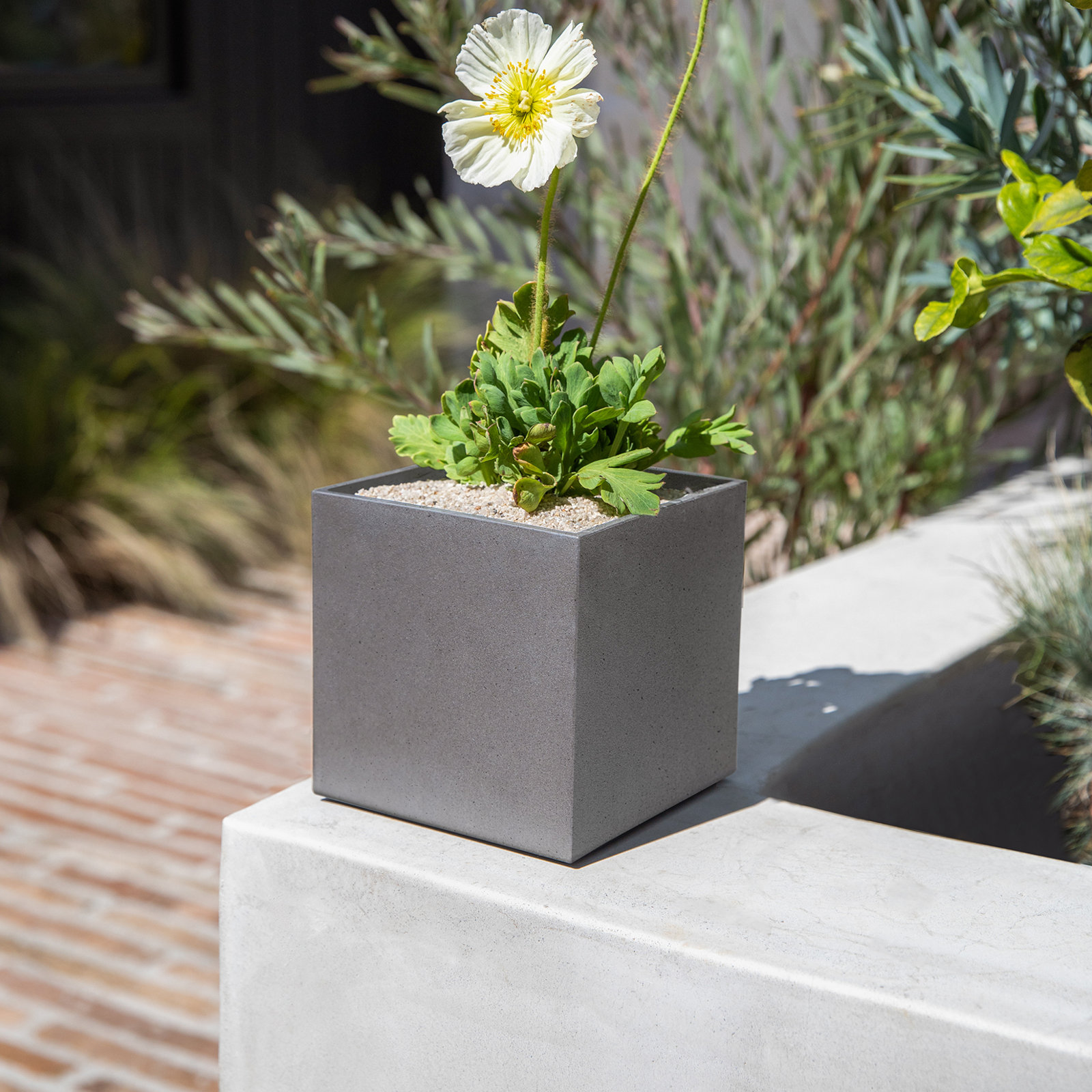 Geo Series 5" Pot Planter, Gray, 1