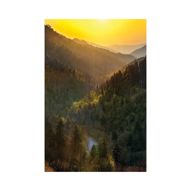 Sunset Over A Path Through The Smokies by Jonathan Ross Photography - Wrapped Canvas Print, 30.48 cm H x 45.72 cm W