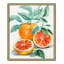 Mandaring Olives Mandarin Oranges I - peinture encadrée-58623390-59001599