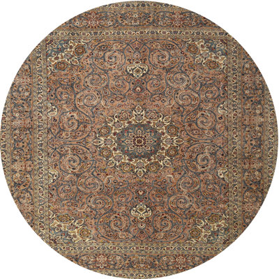 Ceazar Oriental Indoor Rug