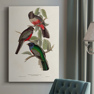 Toile tendue avec châssis Elegant Trogons V - prêt à accrocher