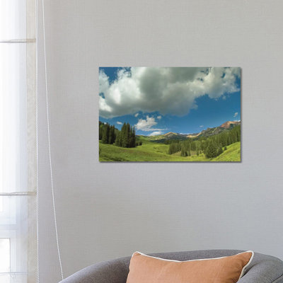 Stand Of Conifers In The Elk Mountains Near Crested Butte, Colorado 1 Piece Wrapped Canvas Wall Art