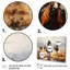 Western Dust and Grit II, 3 pièces-60888959