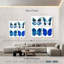 Radiographie de Brampt Miss Butterfly - bleu