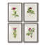 Pretty Pink Botanicals II - ensemble de 4 reproductions de cadres photo-1342891447-1342891403