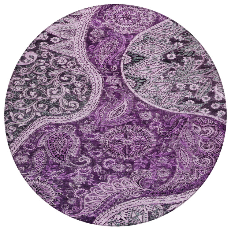 Segin Area Rug with Non-Slip Backing