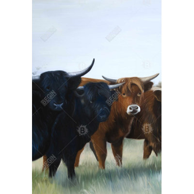 Quatre quatre vaches Highland | Animaux de cuisine