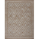 Geometric Area Rug in Brown