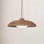 Delano 1 - Light Pendant