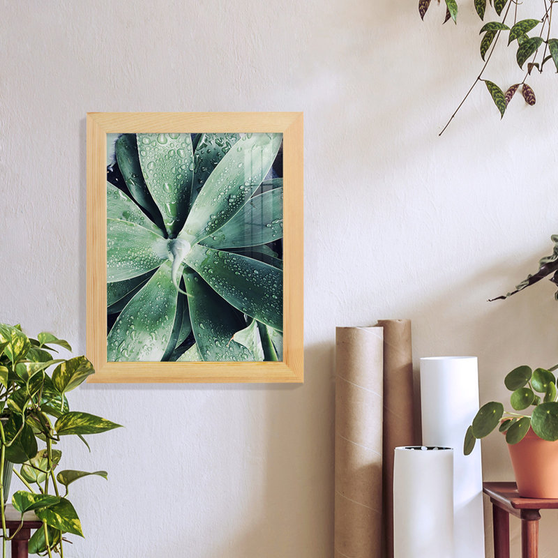 Vert succulent tropical vert III, H 11 po x l 9 po x P 1 po, Naturel