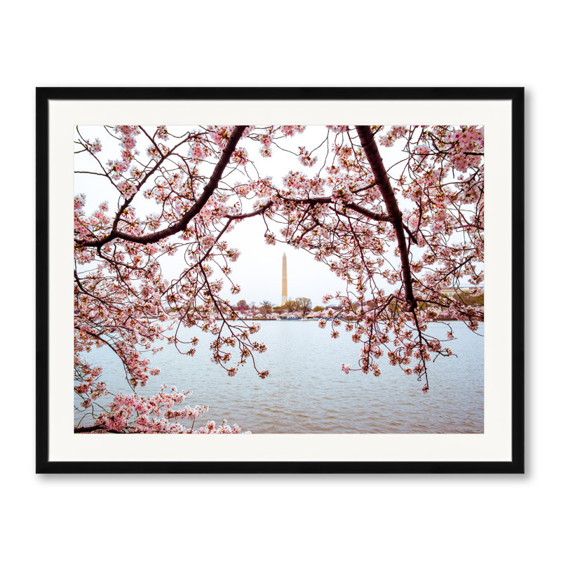 Full Bloom Iii Print by Scott Wurzel, Black Framed Paper, 24" H x 30" W
