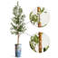 Arbre artificiel dans un pot de fleurs moderne, décoration d'arbre en soie d'olivier artificiel (pot et arbre)-938195094-925170724