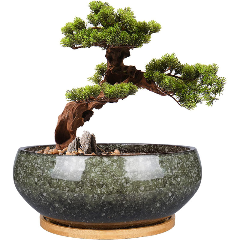 Pot à fleurs en céramique émaillée 8 "avec drainage et soucoupe en bambou 8"